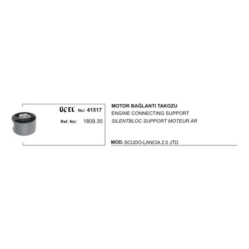 Motor Bağlantı Takozu 41517 P406 Jumpy Evasıon