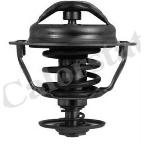 Termostat Vernet 5446.83* Laguna 2.2D 96 01 Partner 2.0 H